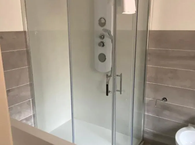 Domus Dotta New