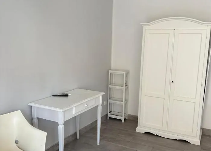 Domus Dotta New