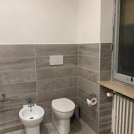 Domus Dotta New