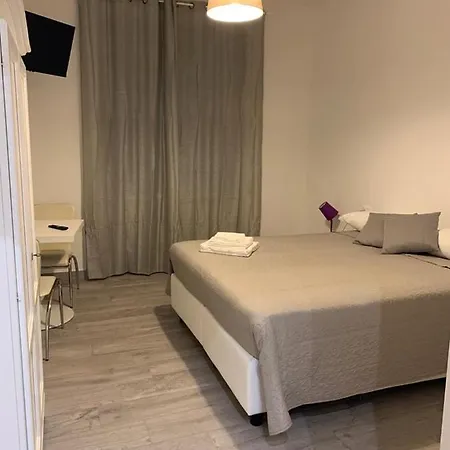 Domus Dotta New