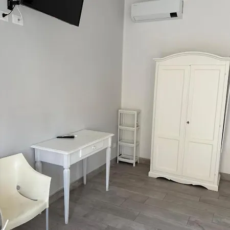 Domus Dotta New