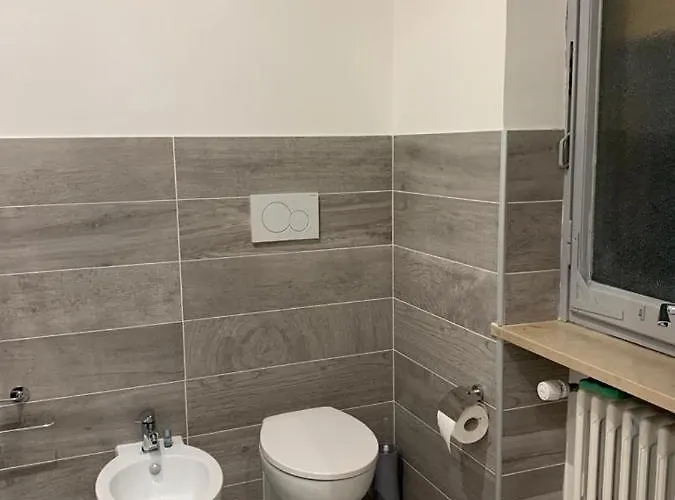 Domus Dotta New